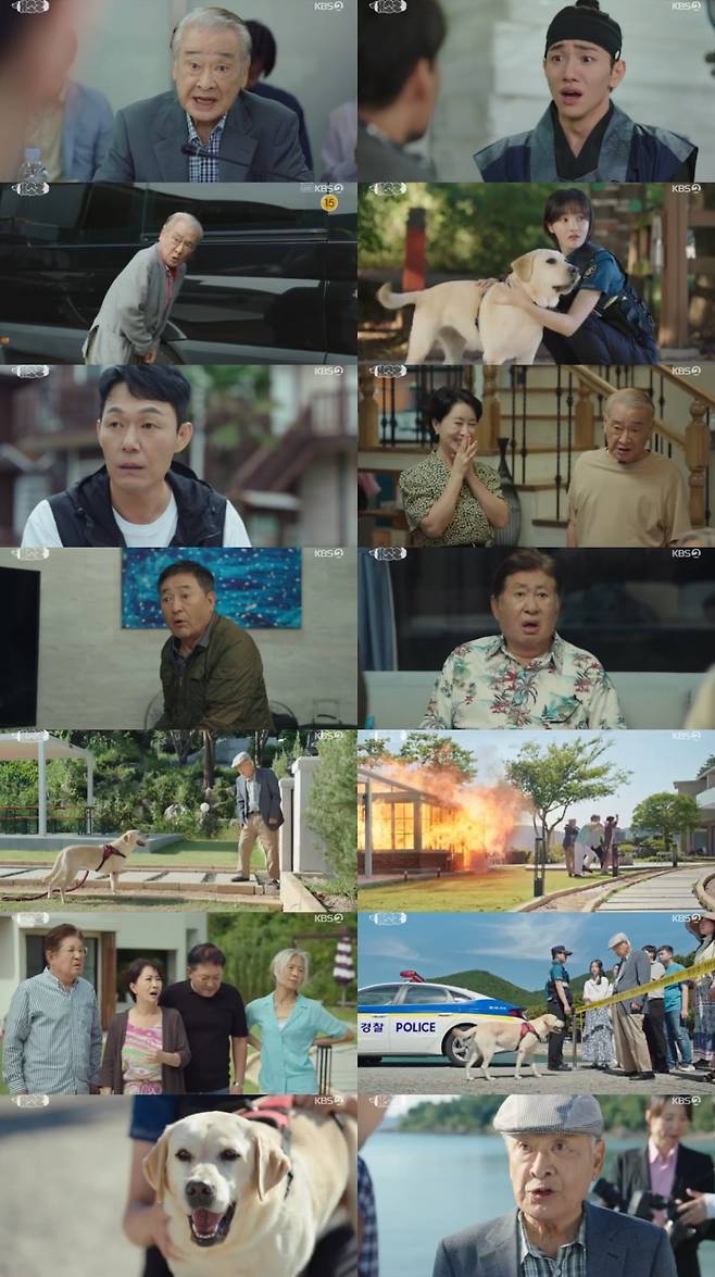 / 사진 제공: KBS 2TV 수목드라마 <개소리> 방송 캡처