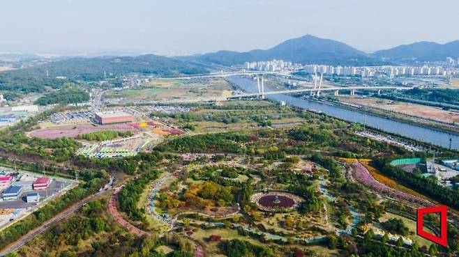 수도권매립지 애생화단지에서 드림파크 국화축제가 열리고 있다. [사진 제공=수도권매립지관리공사]