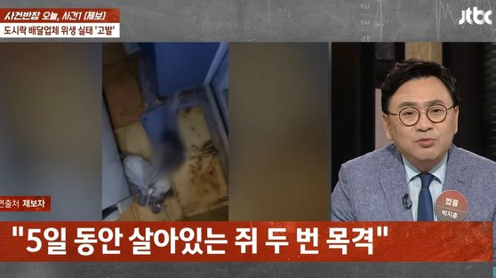 주방에서 발견된 쥐의 사체. 모자이크 처리돼 있다. 사진 JTBC 캡처