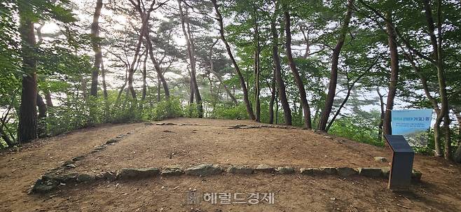 군왕대