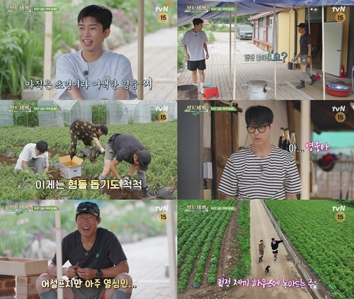 ‘삼시세끼 Light’ 임영웅의 농촌 생활 적응 미션이 시작된다. 사진=‘삼시세끼 Light’