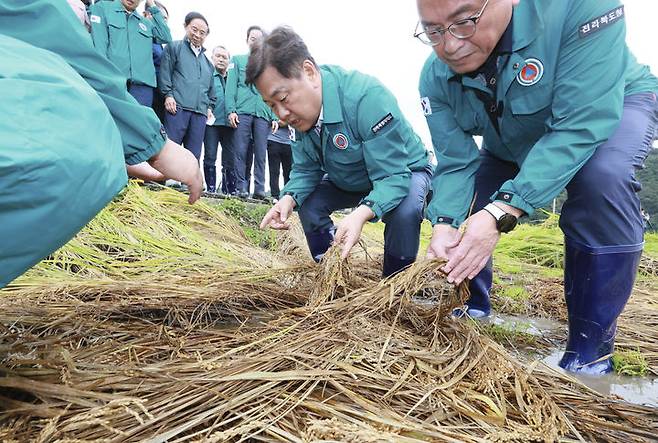 [전주=뉴시스] 벼멸구 피해 지역을 살펴보는 김관영 전북특별자치도지사. (사진=전북특별자치도 제공) 2024.09.27. photo@newsis.com *재판매 및 DB 금지