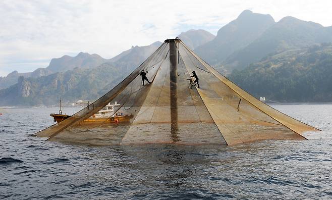 울릉군이 울릉도독도해양연구기지에 위탁 운영한 외해 심해 가두리시설물 ⓒ울릉군&nbsp;