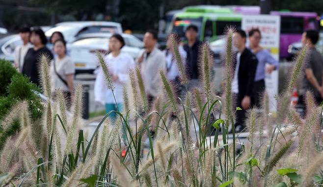 서울 광화문 네거리에서 시민들이 긴소매 옷을 입고 출근하고 있다. /뉴스1