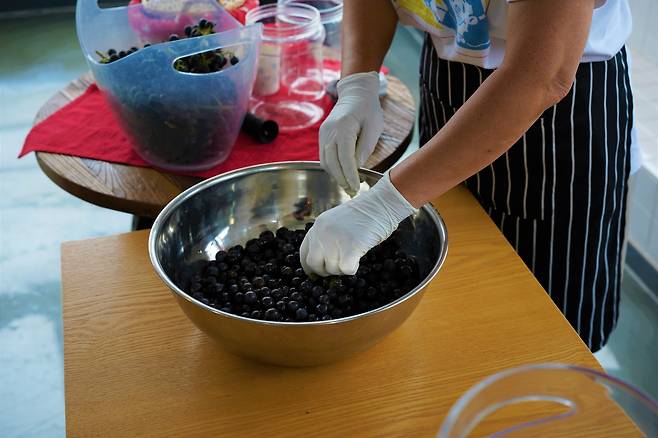 Sinabro Winery owner Lee Sung-ok crushes grapes to demonstrate one of the hands-on activities at her winery. (Lee Si-jin/The Korea Herald)