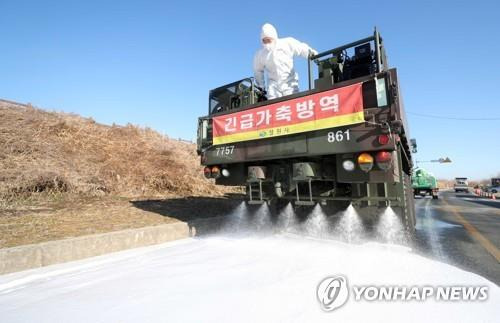 창원 주남저수지 AI 방역 [연합뉴스 자료사진]