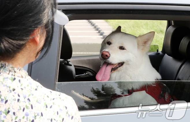 (사진은 기사 내용과 무관함) / 뉴스1 ⓒ News1