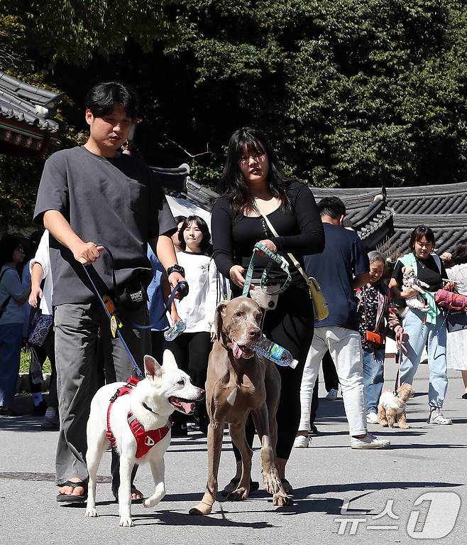 29일 경기도 남양주시 봉선사에서 열린 반려견과 함께하는 선명상 축제를 찾은 반려인과 반려견이 걷기명상을 하고 있다. 2024.9.29/뉴스1 ⓒ News1 박세연 기자