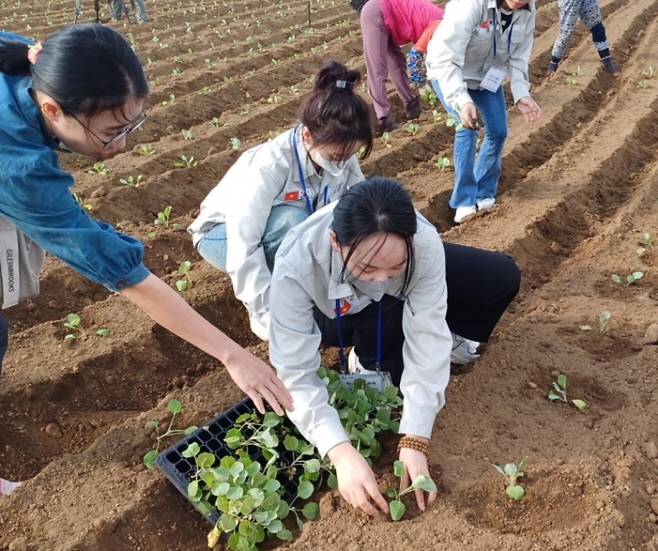 제주고산농협과 계약한 외국인 근로자들은 대부분 30대 중후반으로, 내년 봄까지 이어지는 월동채소 수확기 동안 5개월간 농가 지원에 나설 예정이다. (고산농협 제공)