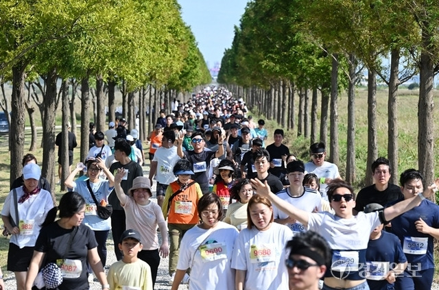 ‘2024 안산마라톤대회’가 지난 28일 안산 대부바다향기테마파크에서 마라토너, 자원봉사자 등 1만여명이 참여한 가운데 성황리에 개최됐다. 10km참가자들이 메타세콰이어길을 힘차게 달리고 있다. 윤원규기자