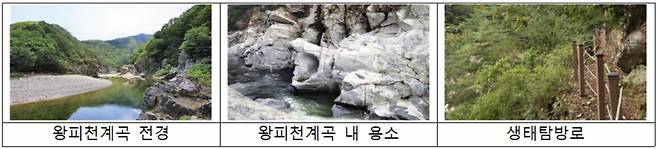 [환경부 제공]