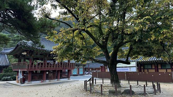 IMG_1570.jpeg 경치가 끝내주는 이른아침 내장산 국립공원의 백양사