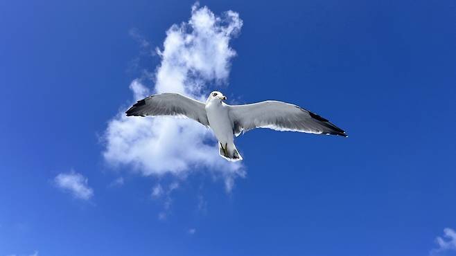 IMG_2608.jpeg 통영 장사도 방문기 (별그대 촬영지)