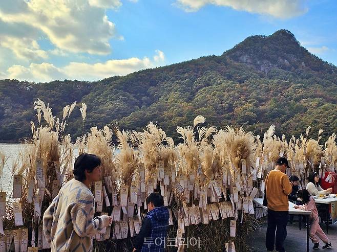 포천 명성산억새축제/사진-경기관광공사