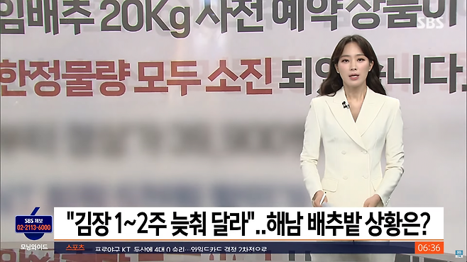 스크린샷(1418).png "김장 1~2주 늦춰 달라"…해남 배추밭 상황은?