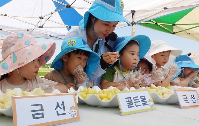 지난 6월 18일 전북 완주군 농촌진흥청 국립식량과학원에서 열린 감자 캐기 체험에 참여한 어린이들이 신품종 감자 품종을 시식하고 있다. /농촌진흥청 제공