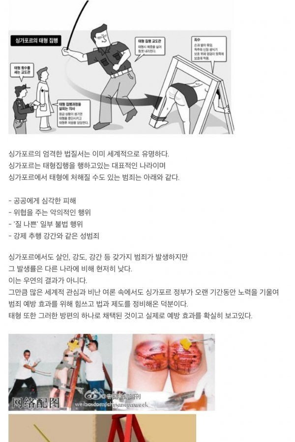 싱가포르에서 성범죄자에게 내리는 형 벌.jpg