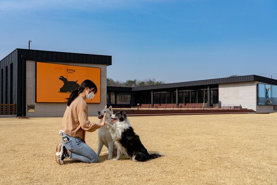 강원도 춘천 남산면에 위치한 반려견 테마파크 '강아지숲'. 대형견도 자유롭게 뛰놀 수 있는 너른 잔디밭 동산을 갖췄다. 백종현 기자