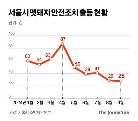 올해 서울시 멧돼지 안전 조치 출동 현황. 그래픽=김영옥 기자