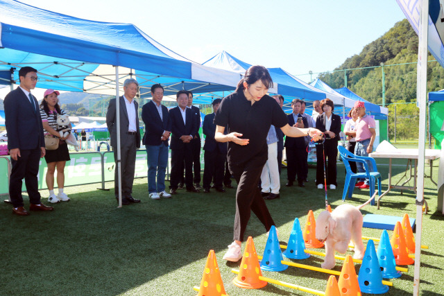 ▲ 홍천군은 지난 9월 28~29일 이틀간 홍천읍 생활체육공원에서 ‘반려동물 문화축제&홍천 FCI(세계애견연맹)국제 도그쇼’를 개최했다.