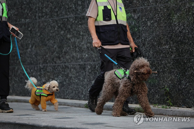 ▲ 서울 반려견순찰대 대원들이 지난 5월 서울 양천구 일대에서 청소년 선도 합동순찰을 하고 있다. 사진/연합뉴스