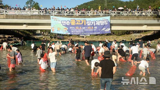 [완주=뉴시스] 김얼 기자 = '2024 완주 와일드&로컬푸드 축제' 개막일인 4일 전북 완주군 고산자연휴양림 일원 축제장을 찾은 시민들이 맨손 물고기 잡기를 하며 즐거운 시간을 보내고 있다. 2024.10.04. pmkeul@newsis.com