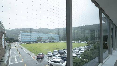 조류 충돌 방지 테이프가 적용된 유리창. 연합뉴스