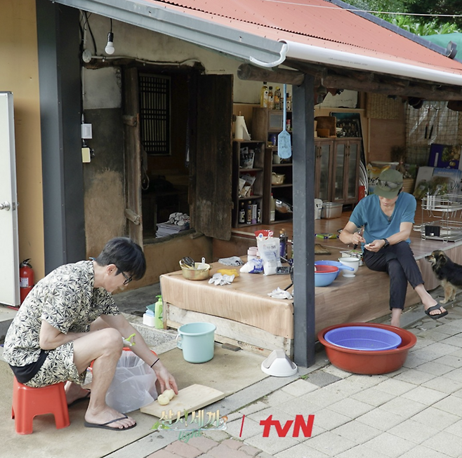 ‘삼시세끼 light’ 스틸컷. 사진ㅣtvN