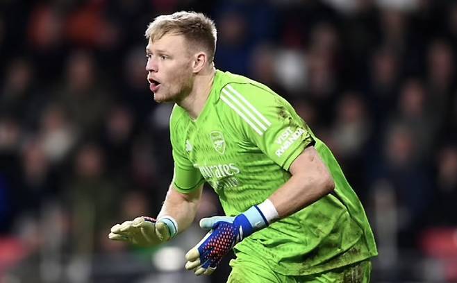 데일리메일 기사캡쳐