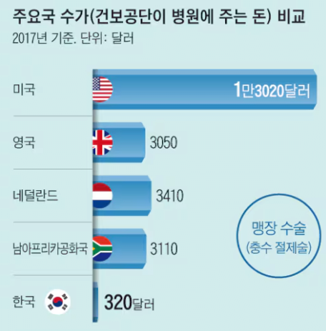 맹장.PNG (팩트체크) 맹장수술 수가 29만원은 정말 사실일까?