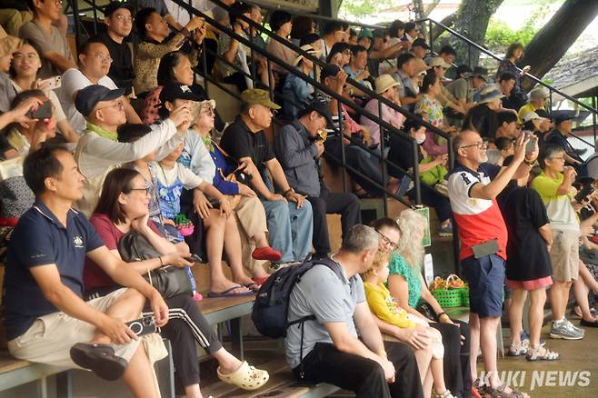 코끼리쇼에 참석한 관광객들이 화가코끼리들이 그리는 그림을 유심히 살펴보고 있다.