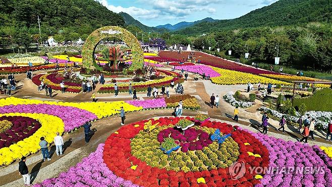 인제 가을꽃축제 [인제군 제공. 재판매 및 DB 금지]