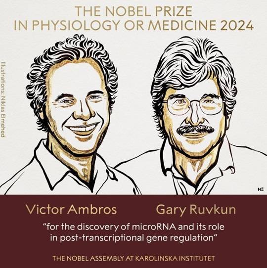 출처=뉴스1(노벨프라이즈 홈페이지)