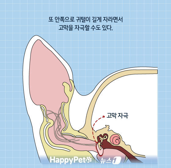 ⓒ News1 김지영 디자이너