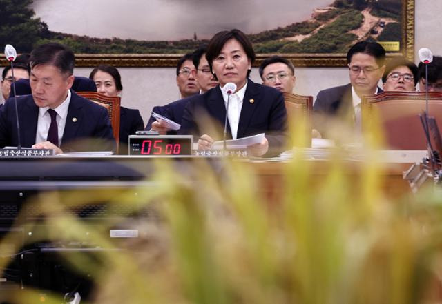 송미령 농림축산식품부 장관이 7일 오전 서울 여의도 국회에서 열린 농림축산식품해양수산위원회의 농림축산식품부 국정감사에서 벼멸구 피해를 당한 벼를 바라보고 있다. 뉴스1