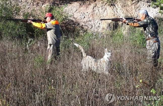 기사 이해를 돕기 위한 사진. 멧돼지 포획 나선 엽사 모습. [사진 출처 = 연합뉴스]