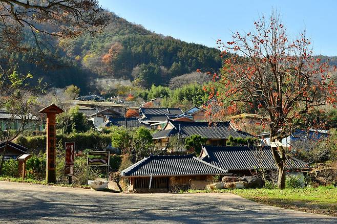 장성 금곡영화마을/전남도