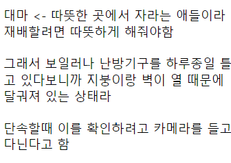 image.png 대마초 단속할 때 열화상, 적외선 카메라를 쓰는 이유