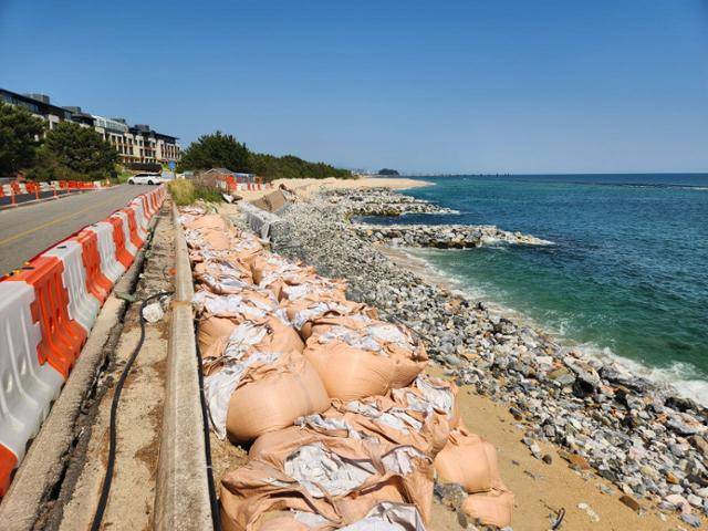 강원 강릉 하시동 해변에서 올해 4월 연안 침식이 일어나고 있는 모습. 해안이 깎여 나가는 것을 막기 위해 임시방편으로 설치한 시설물이 널려 있다. 녹색연합