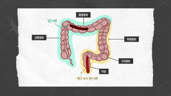 그래픽 이경은