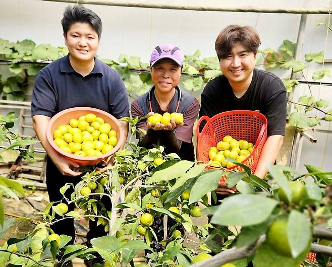 [쿠팡 제공. 재판매 및 DB 금지]