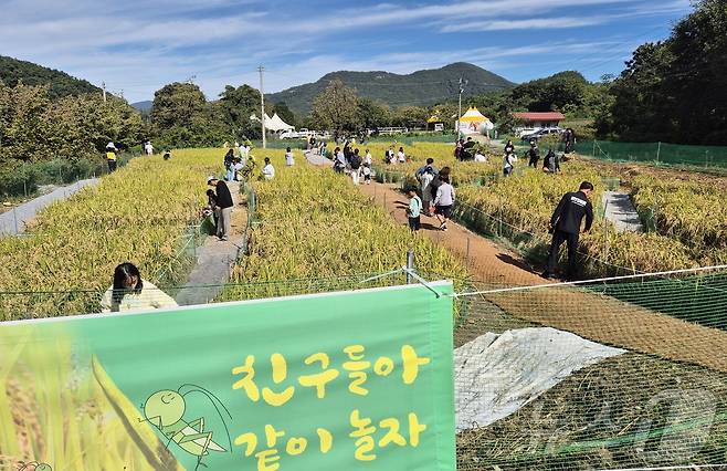 5일 전북 완주군 고산자연휴양림 일원에서 열린 완주와일드&로컬푸드 축제를 찾은 가족들이 메뚜기 잡기 체험활동을 하고 있다. 2024.10.5/뉴스1 ⓒ News1 강교현 기자