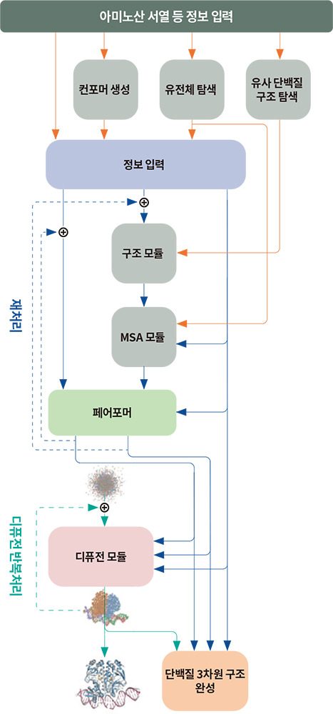 알파폴드3의 전체 아키텍쳐(구조) . Nature 제공