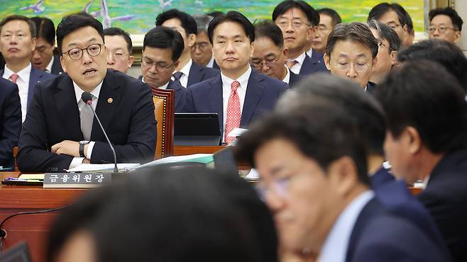 답변하는 김병환 금융위원장 [사진제공:연합뉴스]