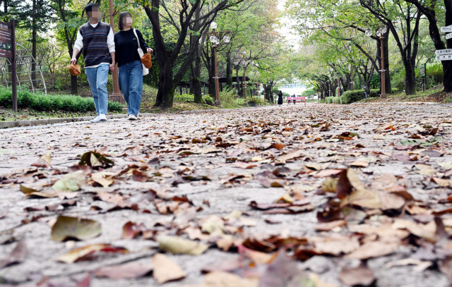 ▲ 지난 9일 강원 춘천 일대에서 시민들이 휴일을 맞아 가을 나들이를 즐기고 있다. 강원도민일보 자료사진