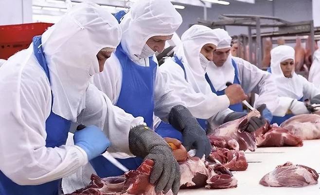스페인의 한 식품 가공업체에서 돼지고기를 손질 중인 근로자들. /사진=바이두