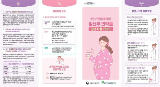 임신부 의약품 안전 사용 가이드. 식품의약품안전처