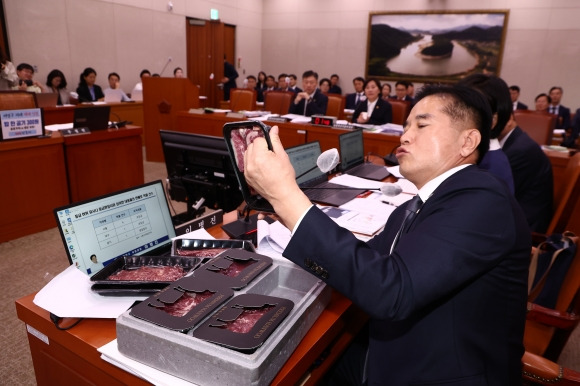 이병진 더불어민주당 의원이 7일 오전 서울 여의도 국회에서 열린 농림축산식품해양수산위원회의 농림축산식품부에 대한 국정감사에서 송미령 농림축산식품부 장관에게 한우 가격 관련 질의하고 있다. 2024.10.7 뉴스1