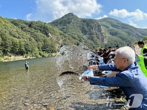 충남수산자원연구소 직원들이 금산군 부리면 금강에서 다슬기를 방류하고 있다.(충남도 제공) /뉴스1