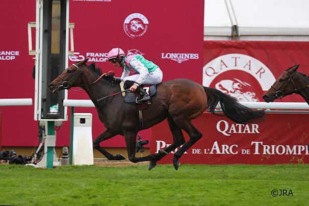 제103회 파리 개선문상 우승마 블루스토킹이 질주하는 모습. 사진=JRA